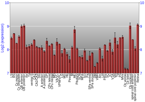 Expression graph