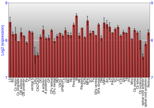 Expression graph