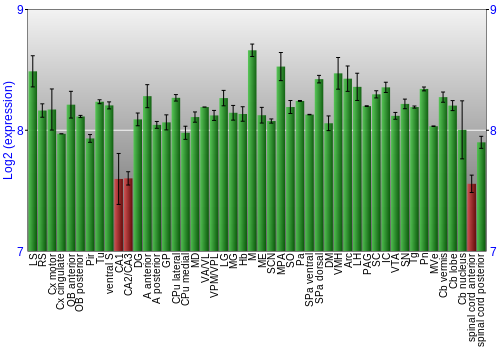 Multi-state expression graph