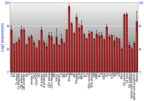 Expression graph