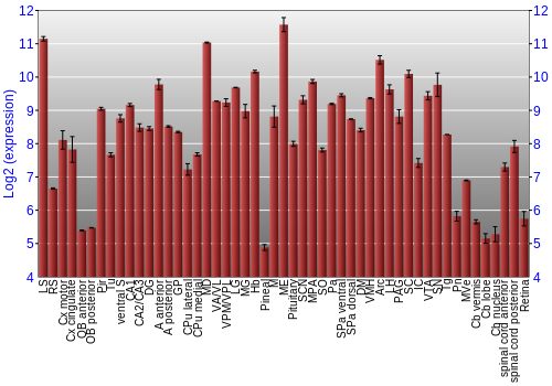Expression graph