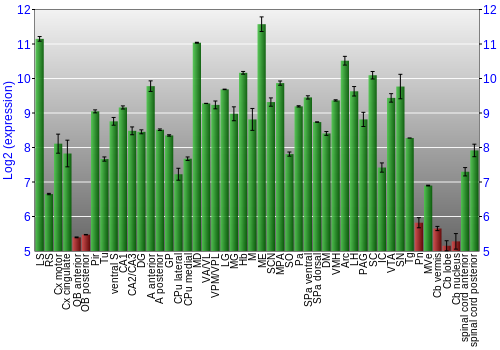 Multi-state expression graph