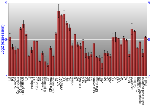 Expression graph