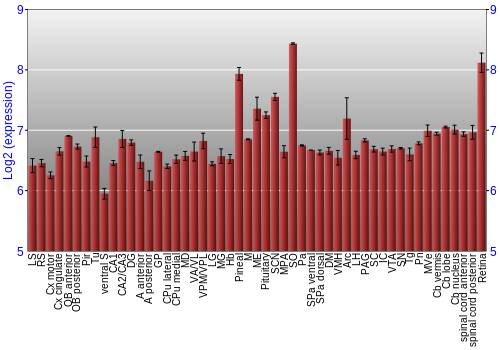 Expression graph