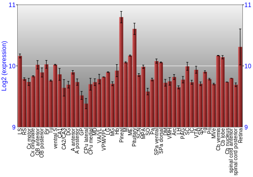 Expression graph