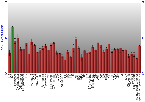 Multi-state expression graph