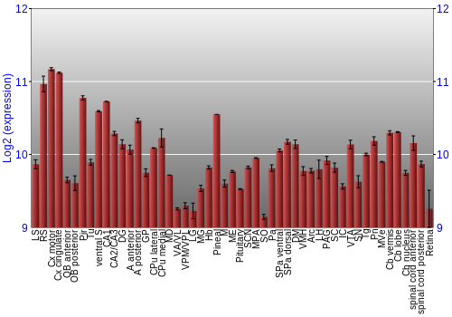 Expression graph