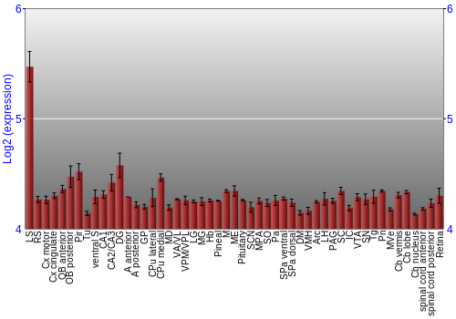 Expression graph