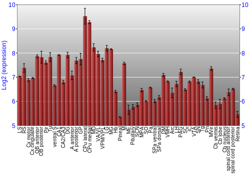 Expression graph