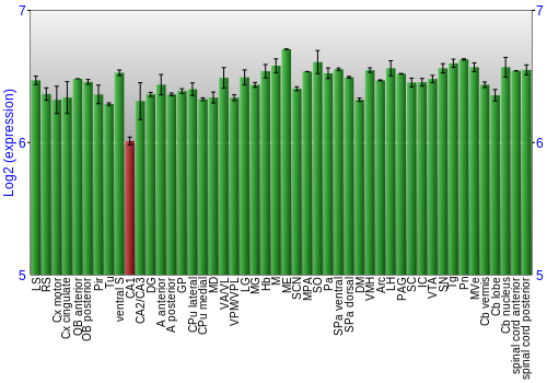 Multi-state expression graph