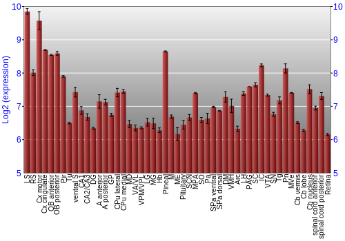 Expression graph