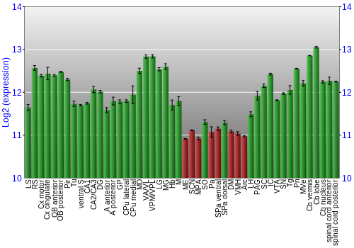 Multi-state expression graph