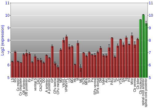 Multi-state expression graph