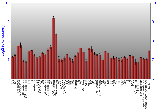 Expression graph