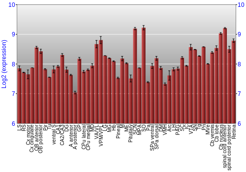 Expression graph