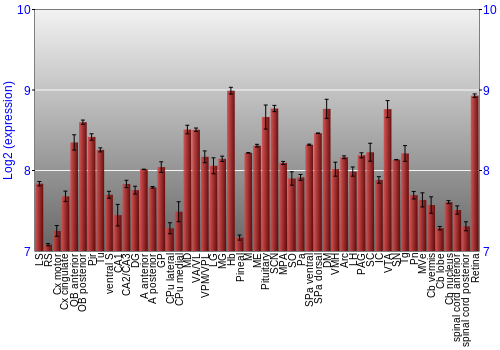 Expression graph