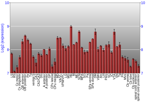 Multi-state expression graph