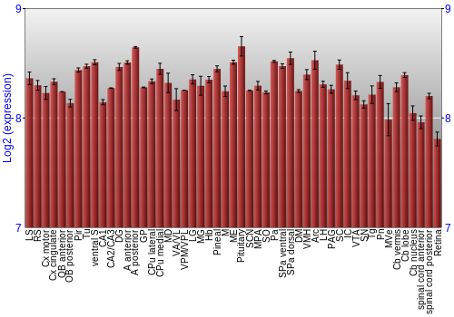 Expression graph