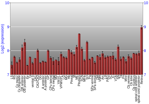Expression graph