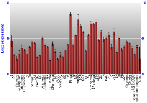 Expression graph