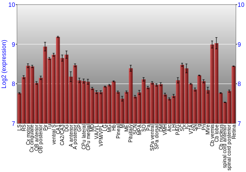 Expression graph
