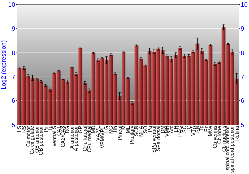 Expression graph