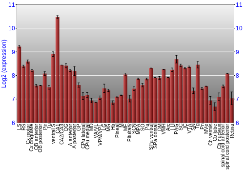 Expression graph