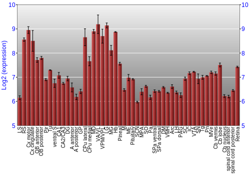 Expression graph
