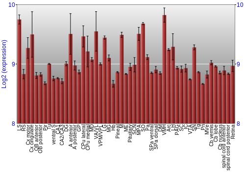 Expression graph