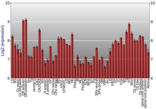 Expression graph