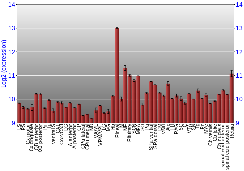Expression graph