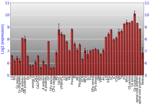 Expression graph