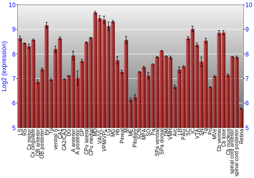 Expression graph