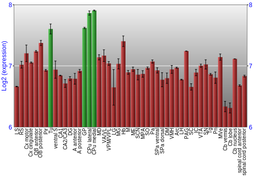Multi-state expression graph