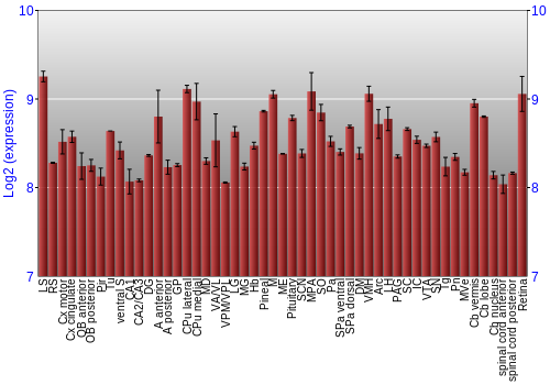 Expression graph