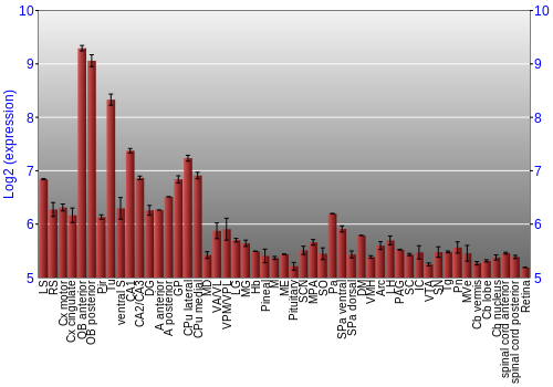Expression graph