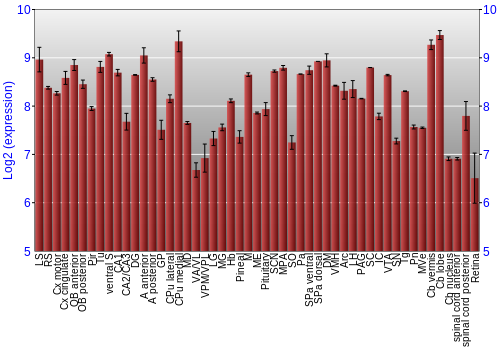 Expression graph
