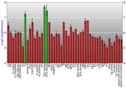 Multi-state expression graph