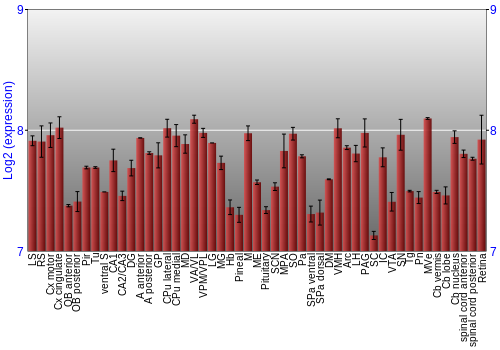 Expression graph