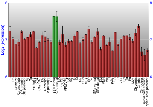 Multi-state expression graph