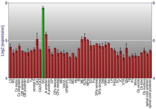 Multi-state expression graph