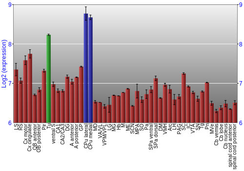 Multi-state expression graph