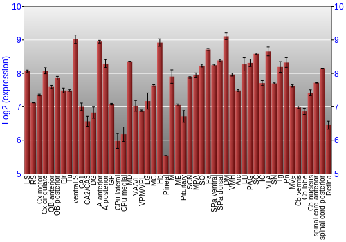 Expression graph