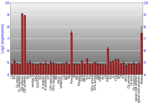 Expression graph