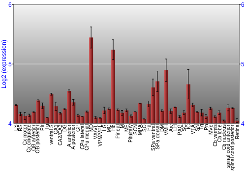 Expression graph