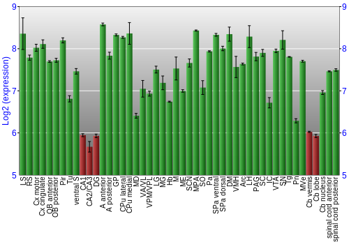 Multi-state expression graph
