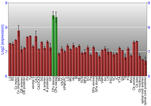 Multi-state expression graph