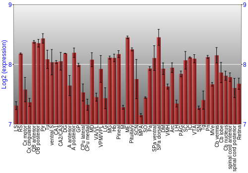 Expression graph