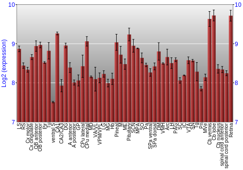 Expression graph