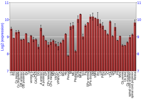 Expression graph